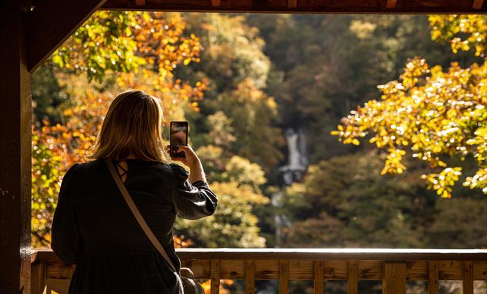 View of the Waterfalls from the Gazebo